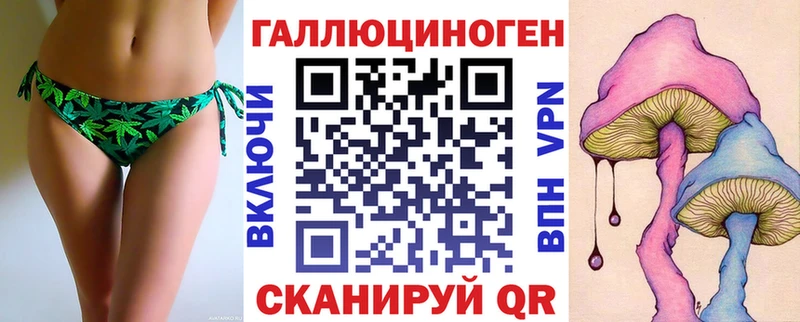 Галлюциногенные грибы Psilocybine cubensis  Соль-Илецк 