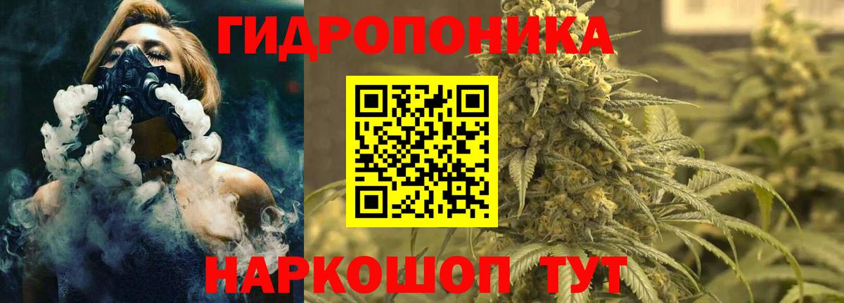 Соль-Илецк  Каннабис марихуана  Марихуана конопля  Вход с VPN  Марихуана ГИДРОПОН 